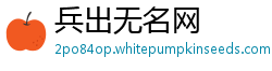 兵出无名网